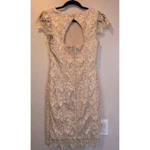 Gold Tinted Lace Dress